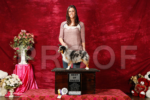 _ST_2636-2-BeltonJan2015IABCA-HR3