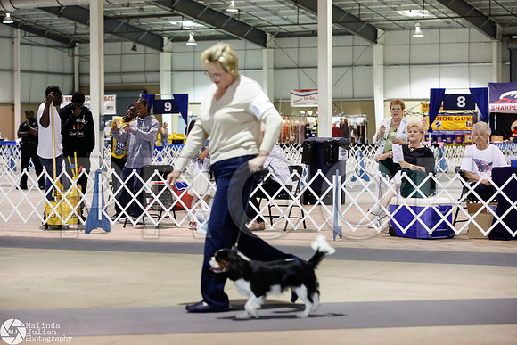 _JJ_2473-SanAntonioJul2014-HR