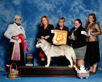 #13 Sun BOB Dawn Katan Judge Murrel Purkhiser