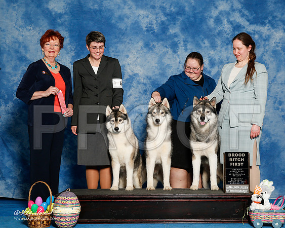 _R1_8250-2-HuskySltyMar2016-HR3