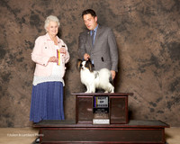 Papillon #19 Sat BOB HillSally and Paula Cox Agent Joseph Berkau Judge Ann Hearn