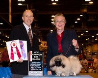 Pekingese #10 Thrs WB BOS Skinner Colleen & Roma Skinner Judge Mr Larry C Abbott