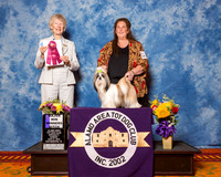 Shih Tzu #16 Sun WB Maj Maybin Dan L Haley & Anna V Agent Dan L Haley Judge Mrs Sharon Newcomb