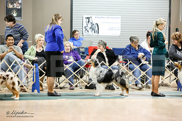 _JJ_8453-ASCACollegeStationNov2014-HR3