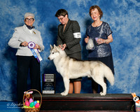 #27 Sun RWD Rita Montgomery and Savannah Riley Judge Murrel Purkhiser