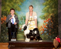 Tibetan Terrier #7 Sat Maj BOW Planche Dina and Mikki and Lois DeMers Judge Cindy Meyer