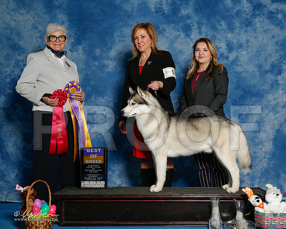_R1_8273-2-HuskySltyMar2016-HR3