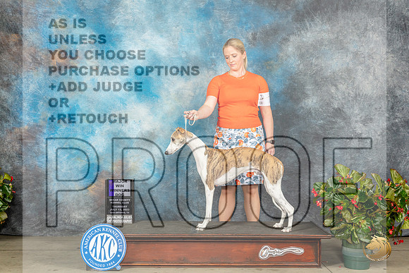 Whippet #17 Thur WD Judge Lee WhittierMJP_7613_SA2023_HR3