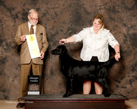 Flat Coated Retriever #6 Sat G3 Zelbst Cindy Rowe Agent Tiffnay Knox Judge Jeffrey Pepper