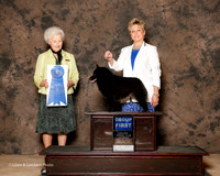 Schipperke #9 Sat G1 Halterman Amy and Middlebrooks Agent Erin Roberts Judge Paula Hartinger
