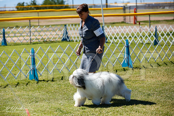 _JN_4888-AlamogordoOct2014-HR3