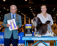 Lowchen #9 Fri BOB Heckart Sue & Lynn Pettengill Judge Mr Robert Stein