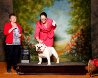 Bulldog #11 Sat WD Halverson Eileen and Jim and Judy Claytor Judge Cindy Meyer