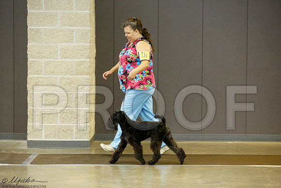 _J3L2073-BeltSep2014-HR