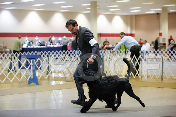 _JJ_7937-AmarilloSept2014-HR3