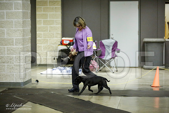 _JJ_6005-BeltonJan2015IABCA-HR3