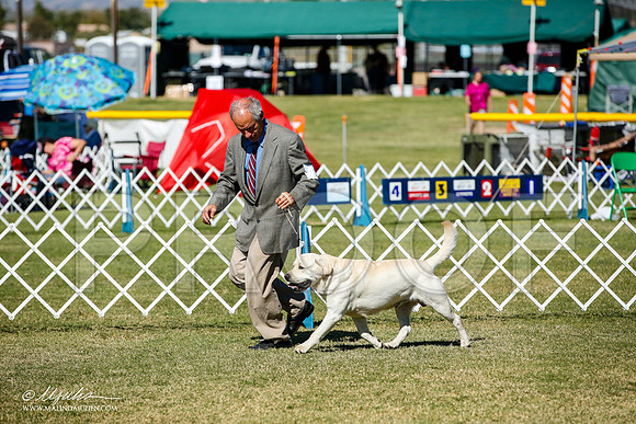 _JJ_1432-AlamogordoOct2014-HR3