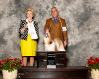 Shih Tzu #14 Sat G4 Maybin Dan L Haley and Anna Judge Nancy Smith Hafner