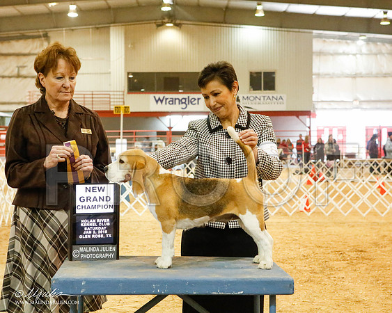 _MJ_5251-2-GlenRoseJan2015-HR3