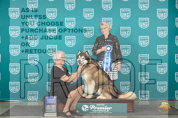 Alaskan Malamute #1301 Sat AG1 Judge Deb Allen__JP_2416_Premier_2024_HR3