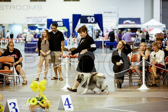 _JN_7862-HstnJul2014-HR3