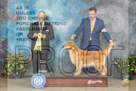Golden Retriever #48 Sat G3 Judge Jay RichardsonMJP_9489_SA2023_HR3