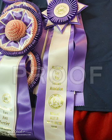 misc-4958-LklndFL2013