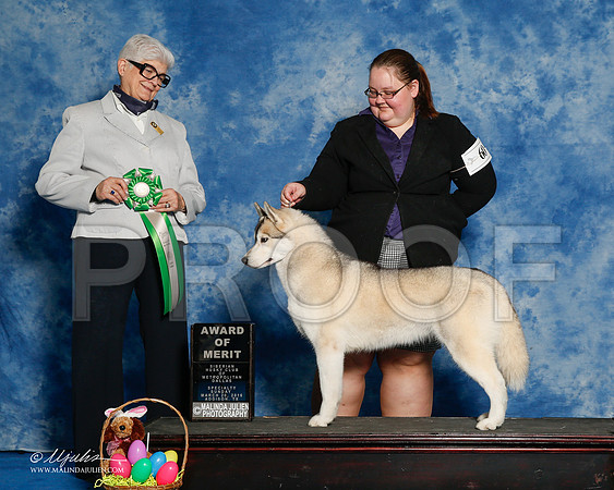 _R1_8297-2-HuskySltyMar2016-HR3