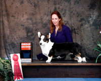 Corgi Cardigan Eileen Kosakowski Custom