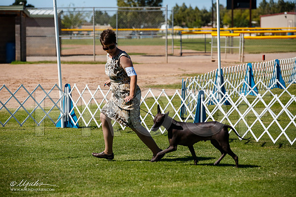 _JJ_8511-AlamogordoOct2014-HR3