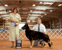German Shepherd Dog #5 Sun Maj WD Goswick Lynn Judge Sarol R Smith
