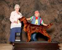 Irish Setter #5 Fri BOB Hill Lynn R And Denise Adams Judge Ann Hearn