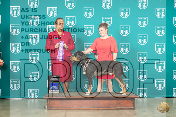 LCLD #110 GRRuby Judge Valerie PiltzMJP_3506_Premier2023_HR3