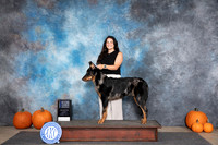 Beauceron #5 Sat BOW Judge Ray Filburn