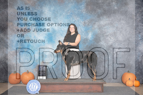 Beauceron #5 Sat BOW Judge Ray Filburn__JP_8713_Humble_2024_HR3