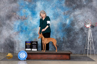 Cirneco dell’Etna #6 BOBM Judge Jon Cole