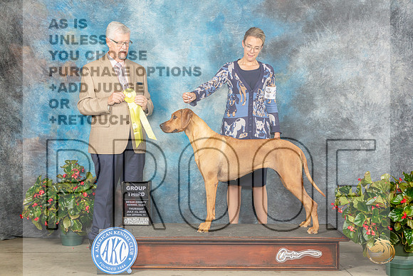Rhodesian Ridgeback #22 Thur G3 Judge Dr Michael WoodsMJP_7488_SA2023_HR3