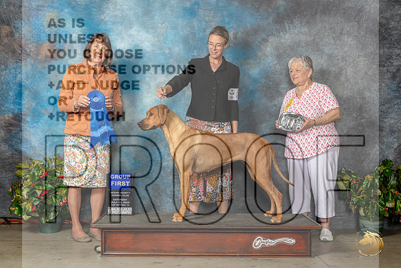 Rhodesian Ridgeback #22 Sat G1 Judge Helene NietschMJP_9339_SA2023_HR3