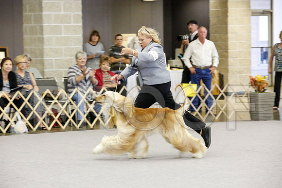 _JJ_2224-AfgBeltonOct2014-HR3