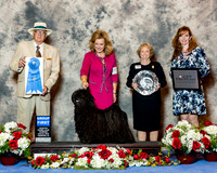 Pulik #5 Thrs G1 Charles E & J Beaudoin & L Pitts & P Kelly & S Huebner Linda Pitts AKC registered Handler Judge Mr Arley D Hussin