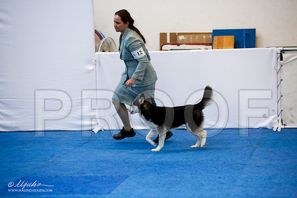 _JJ_7834-AddisonMar2016-HR3