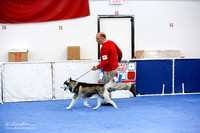 Veteran Sweeps 7-10 Dog Sat Ring