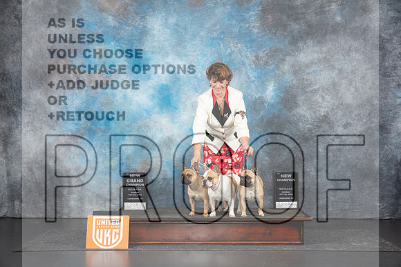 French Bulldogs #192 __JP_1533_UKCLNGVIEWOCT2024_2024_HR3