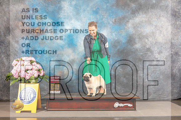 Pug #? THUR G2 Judge Alan Odom SAN ANTONIO *R*_MJ_4274_Houston_2022_HR3