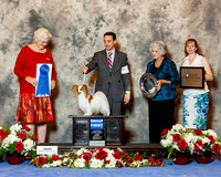 Papillon #7 Sun G1 Mosing Madeline Breeders Agent Brian Livingston Judge Joan Zielinski