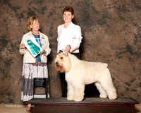 Bouvier De Flandre #6 Sat OH G3 Bowman Laura L and Annessa Towell and Douglas Johnson Judge Peggy Beisel McIlwaine
