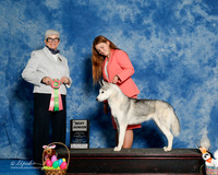 #J101 Sun Best Jr K Ireton L Demmin W Warren K Warren Judge Murrel Purkhiser