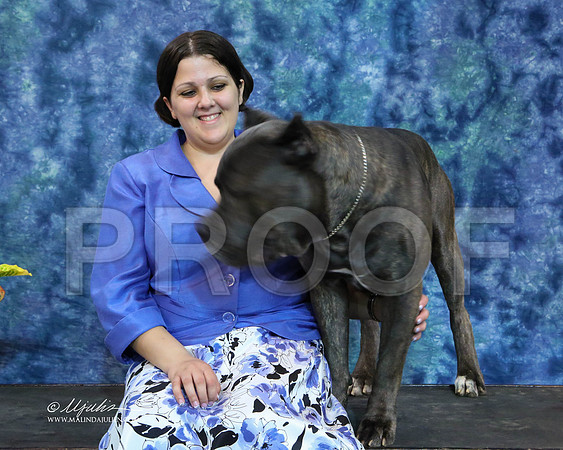 Cane-6414-IABCAFWSpt13-HR
