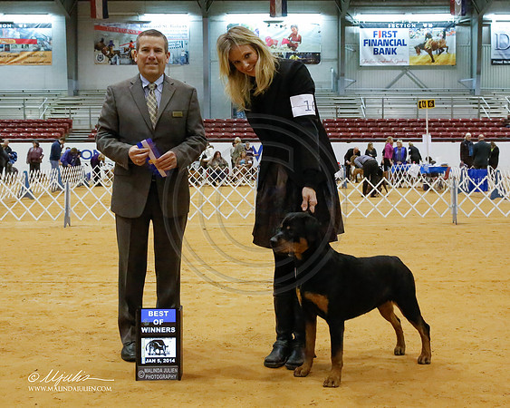 Rott-6952-GRJan14-HR