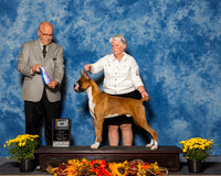 Boxers #15 Sun BOB Matli Marsha Mary Frances Burleson Judge Mr Gary L Andersen